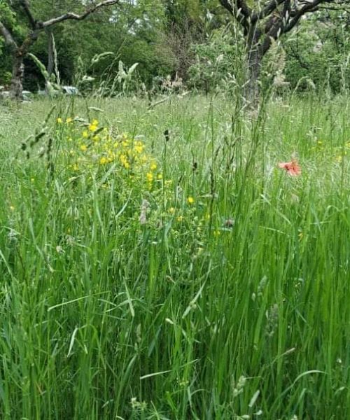 4b4051b4-833c-4e35-8bd0-dbcc56c0a6f2